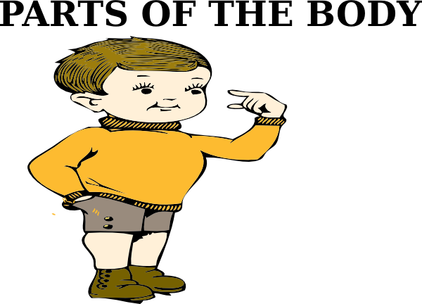 Parts Of The Body Clip Art At Clker - Body Part Clip Art (600x432)
