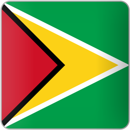 Guyana Flag Square (640x480)