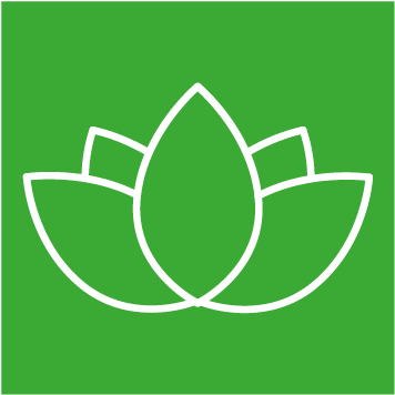 San Diego Yoga Studio Iyengar Yoga Classes - Euclidean Vector (521x521)