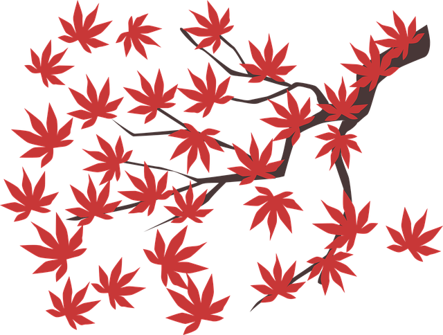 Maple Leaf, Maple, Leaf, Autumn, Red, Fall, Tree, Plant - Vector Cây Lá Phong (640x484)