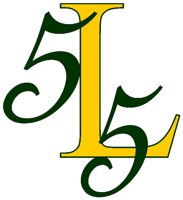 Laurens District 55 Raiders - Laurens District 55 (672x672)