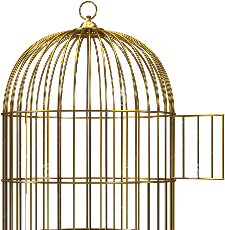 Birdcage Clip Art - Open Birdcage (927x786)