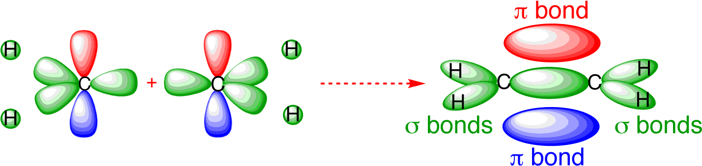 Ethylene Orbitals - Pi Bond In Ethene (1448x366)