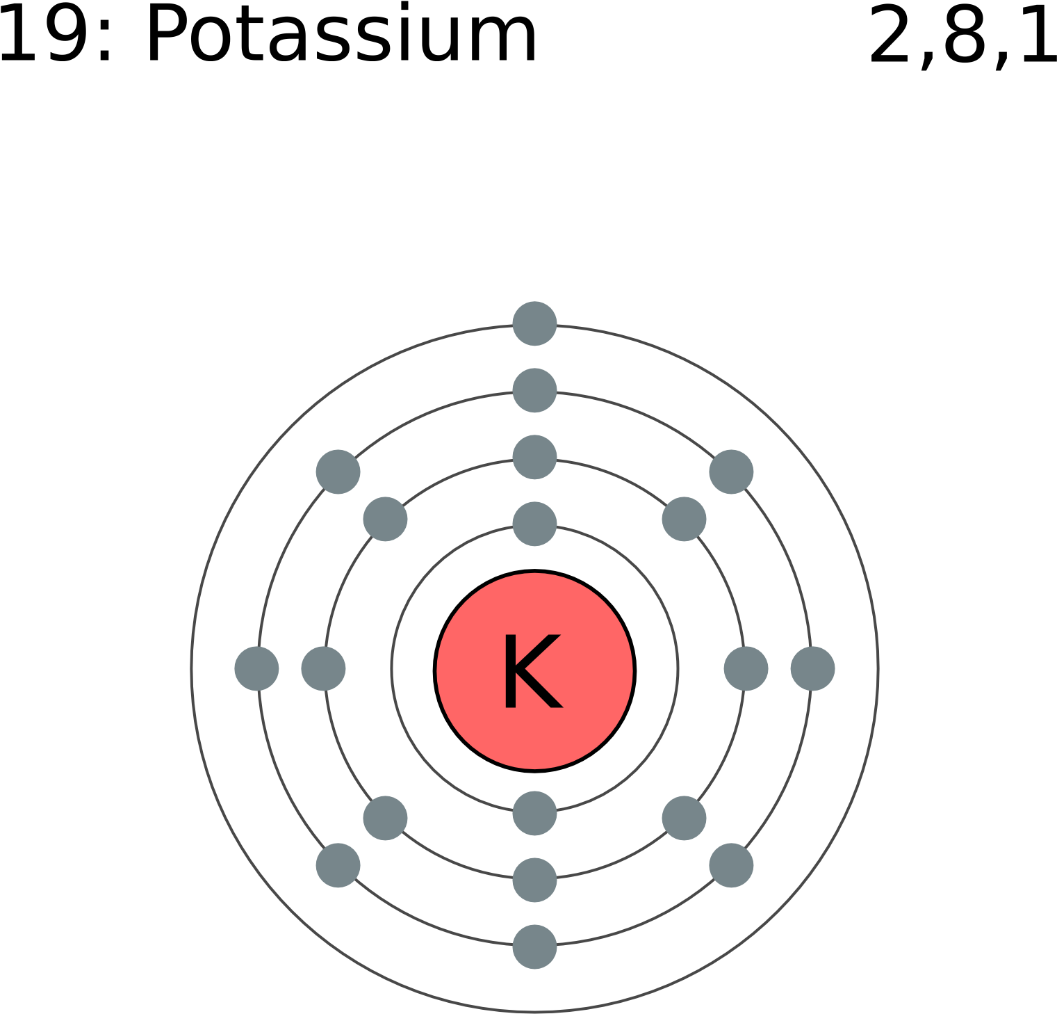 File Electron Shell 019 Potassium Png Wikimedia Commons - Bohr Model Of Xenon (1678x1835)