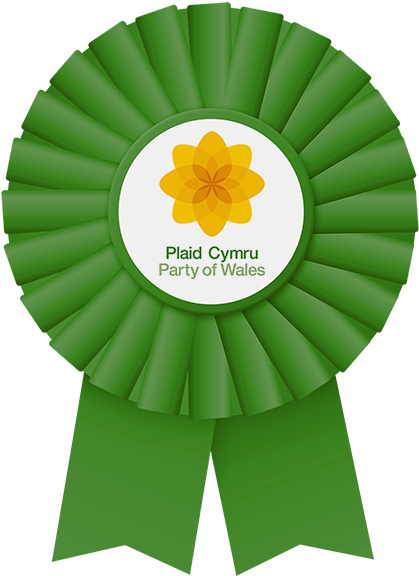 Read The Plaid Cymru Party Easy Read Manifesto In English - Sunflower (600x600)