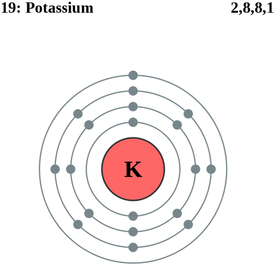See The Electron Configuration Of Atoms Of The Elements - Potassium Electron Shell Diagram (640x688)