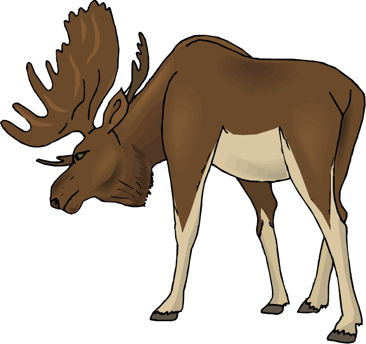 Moose Clip Art - Clip Art (750x705)