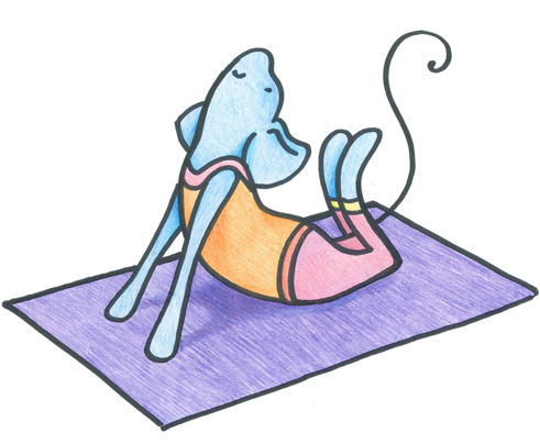 Yoga Colour - Yoga (500x407)