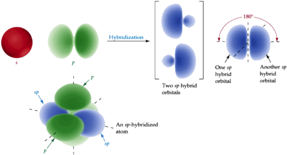 Mcat Bonding - Sp Hybridization - Orbital Hybridisation (570x312)