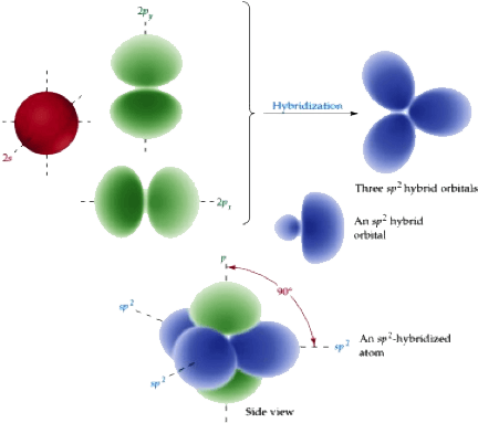 Mcat Bonding - Sp2 Hybridization - Sp2 Hybridization Phases (523x393)