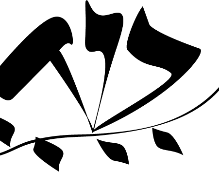 David And Shayna Wills - David And Shayna Wills (451x353)