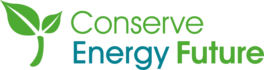 Recommended For You - Conserve Energy Future (1024x272)