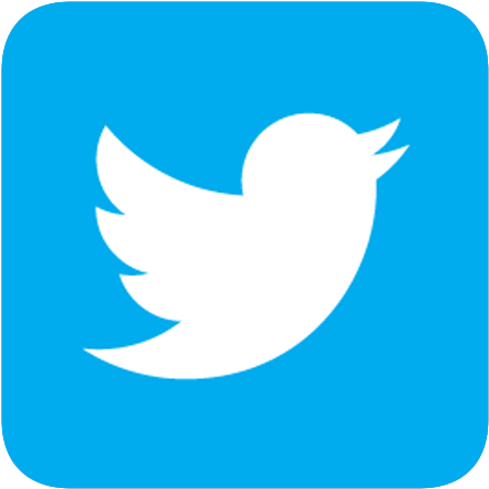 Twitter Bird Logo Square (500x500)