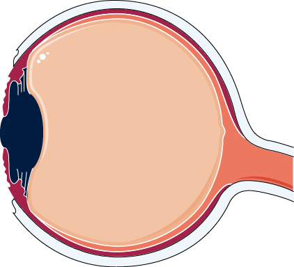 Eye - Circle (422x384)