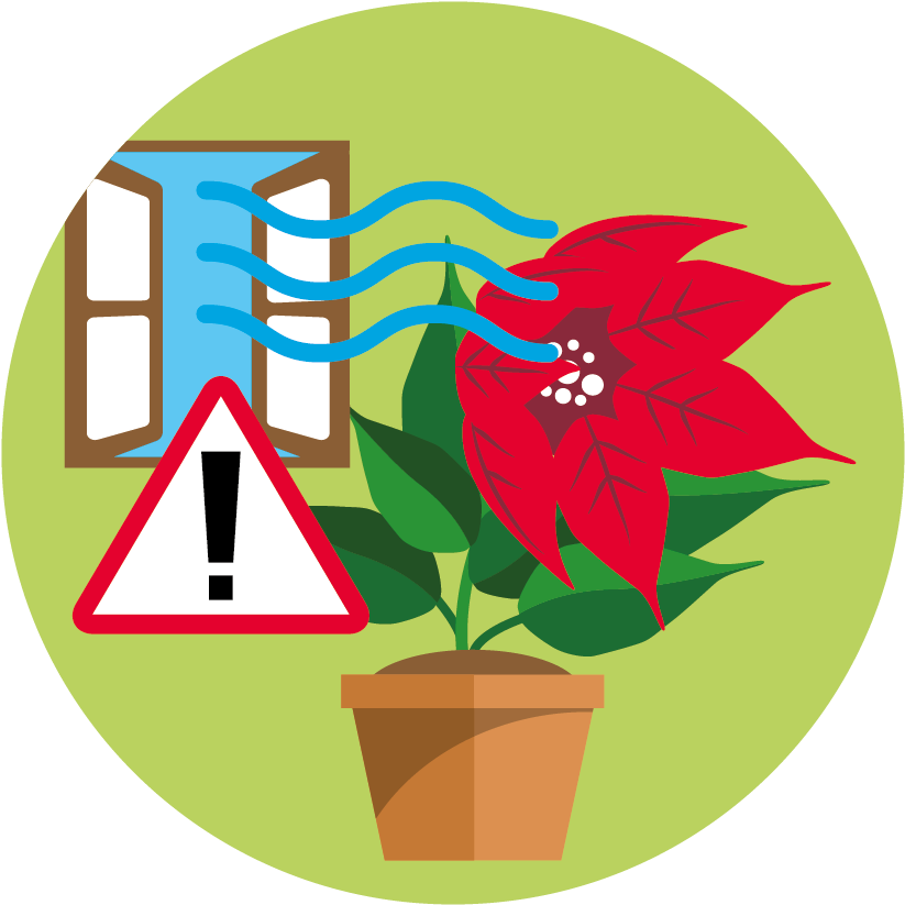 Colour - Png - Consumer (1004x1004)