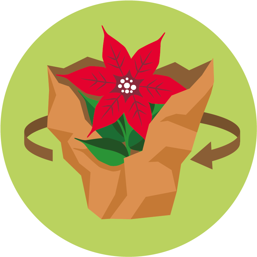 Png - Consumer (1004x1004)