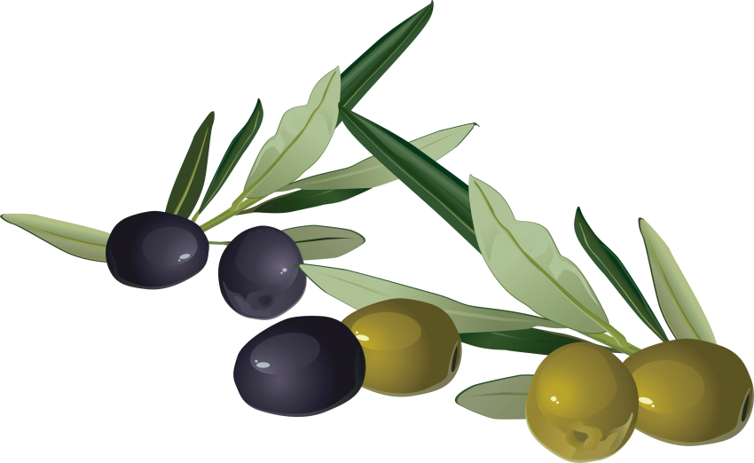 Free Png Olives Png Images Transparent - Olives Clipart Png (850x522)