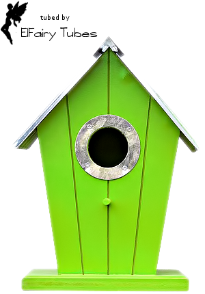 Elfairy Pics & Posers - Silhouette (300x430)