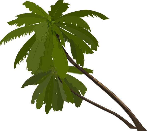 Cartoon Jungle Tree Png (600x533)