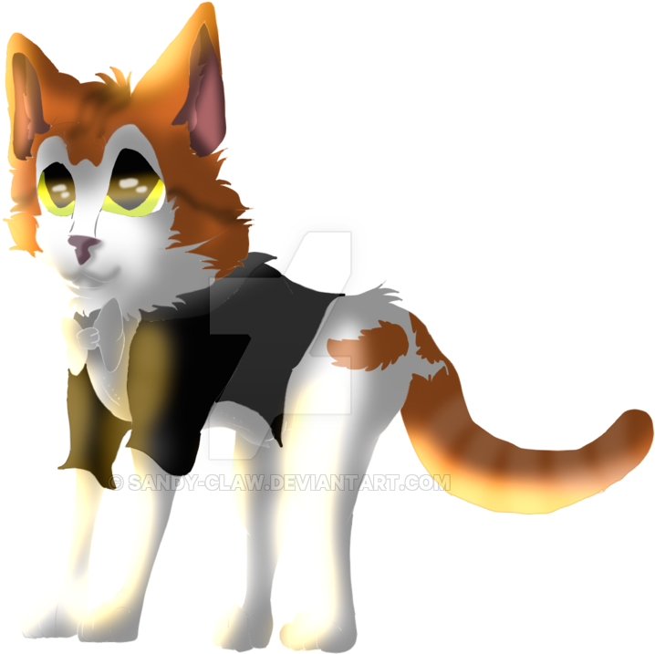 Whiskers Kitten Cat Cartoon Tail - Cat (1024x768)