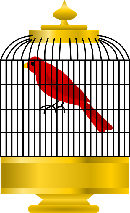 Cage Clipart Golden Bird - Cage (440x720)