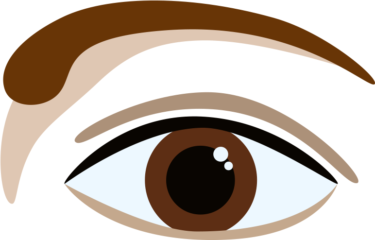 Also Known As “tadpole” Brows, The Arch Is Over The - Eyebrow Shape (800x800)