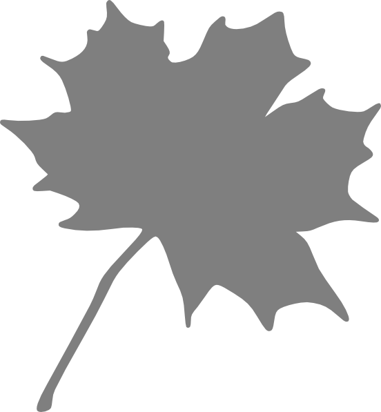 Maple Leaf Clip Art - Maple Leaf Clip Art (552x597)