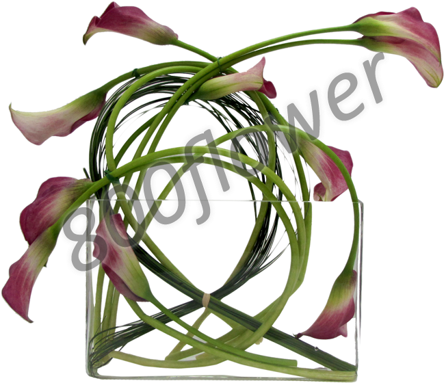 How To Apologize To A Loved One With Flowers - Buttercup (686x750)