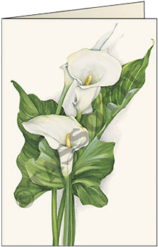 Biglietti D'auguri "calla" - Bookmark (354x354)