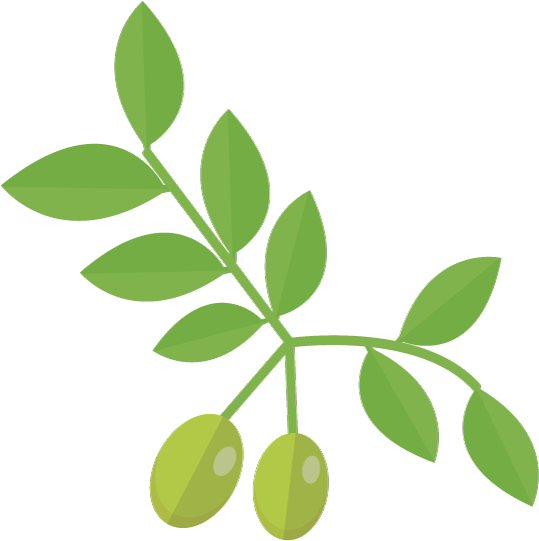 Tweet This - Ramo D Oliva (800x678)