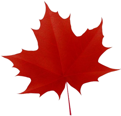Maple Leaf (400x400)