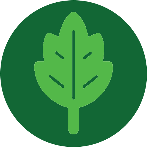 Planting - 2 And 5 Train (520x520)