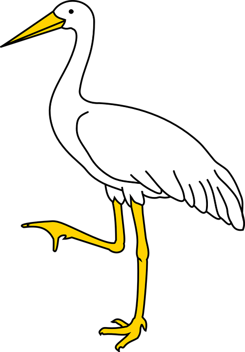 Crane Clipart Cat - Whooping Crane Clip Art (502x720)