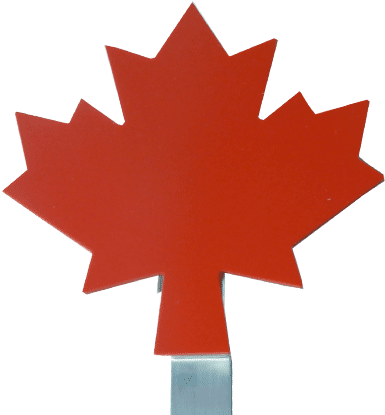 Canadian Maple Leaf - Canadian Maple Leaf Cartoon (520x416)