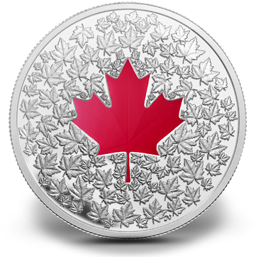 2013 Fine Silver 20 Dollar Coin - Maple Leaf Impression (388x371)