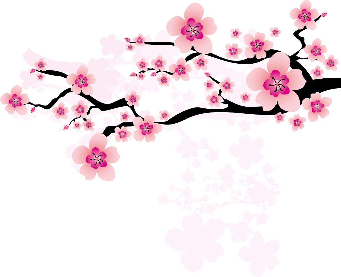 Ume Blossom Clipart Apricot Blossom - Cherry Blossom Vector Png (1165x948)