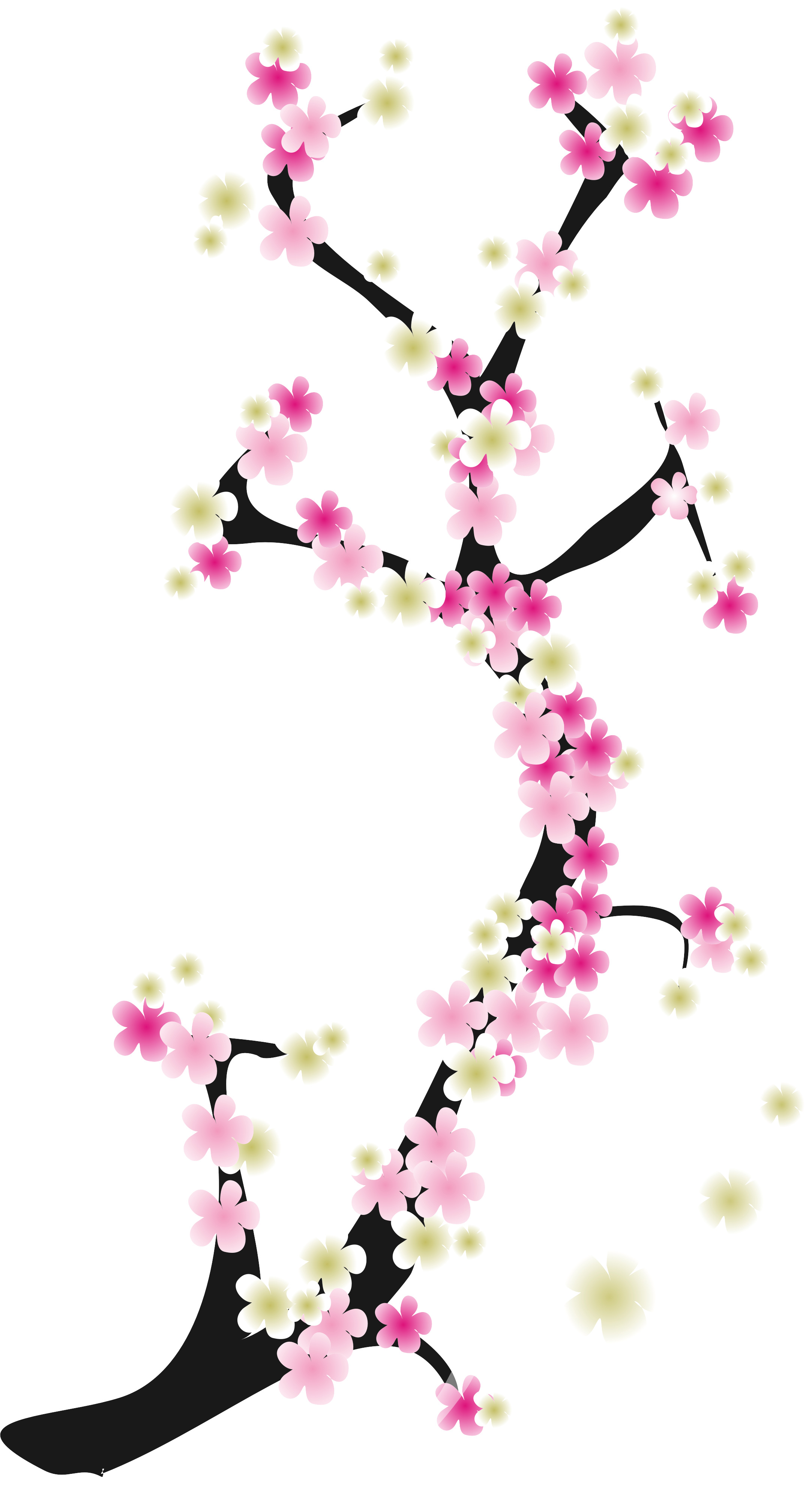 Raminho De Flor Png (2165x4018)