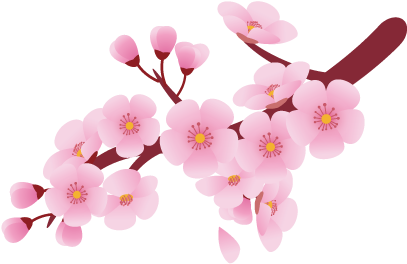 Cherry Blossom Flower Clip Art - Cherry Blossom Clip Art Pattern (600x600)