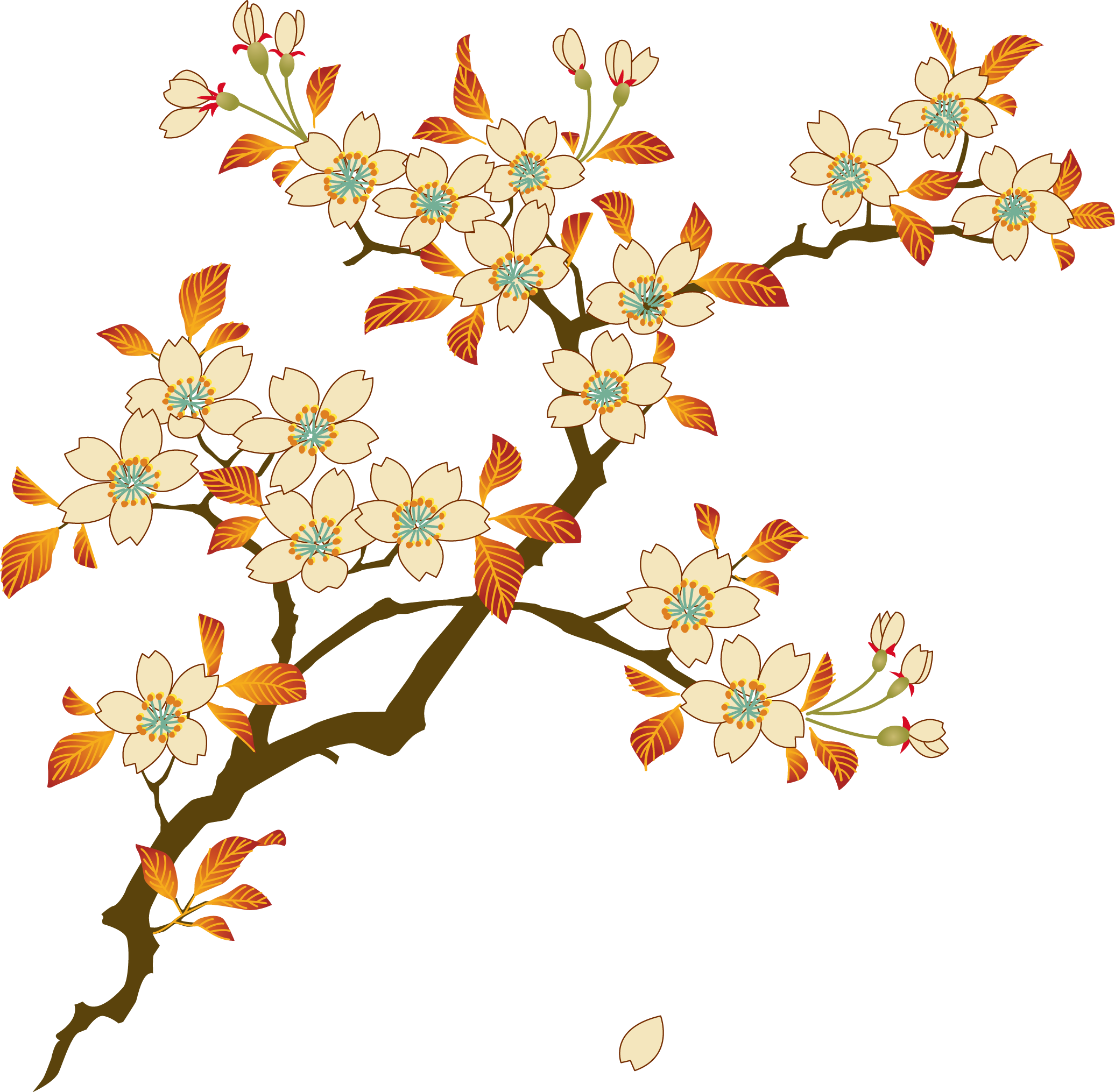 Cherry Blossom Euclidean Vector Flower - Floral Png (2072x2030)