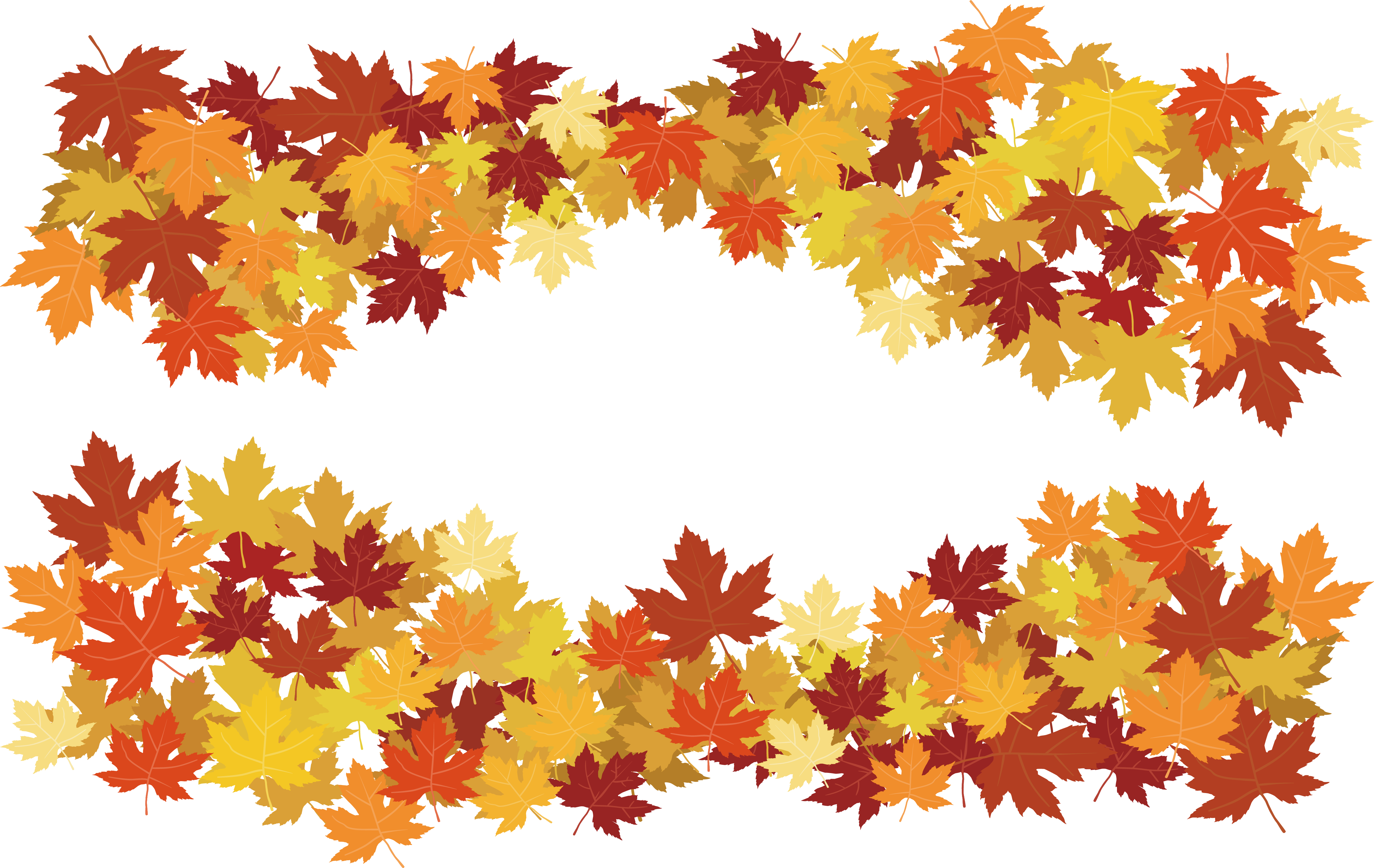 A Leaf Strewn Border - Hojas De Maple Vector (4966x3138)