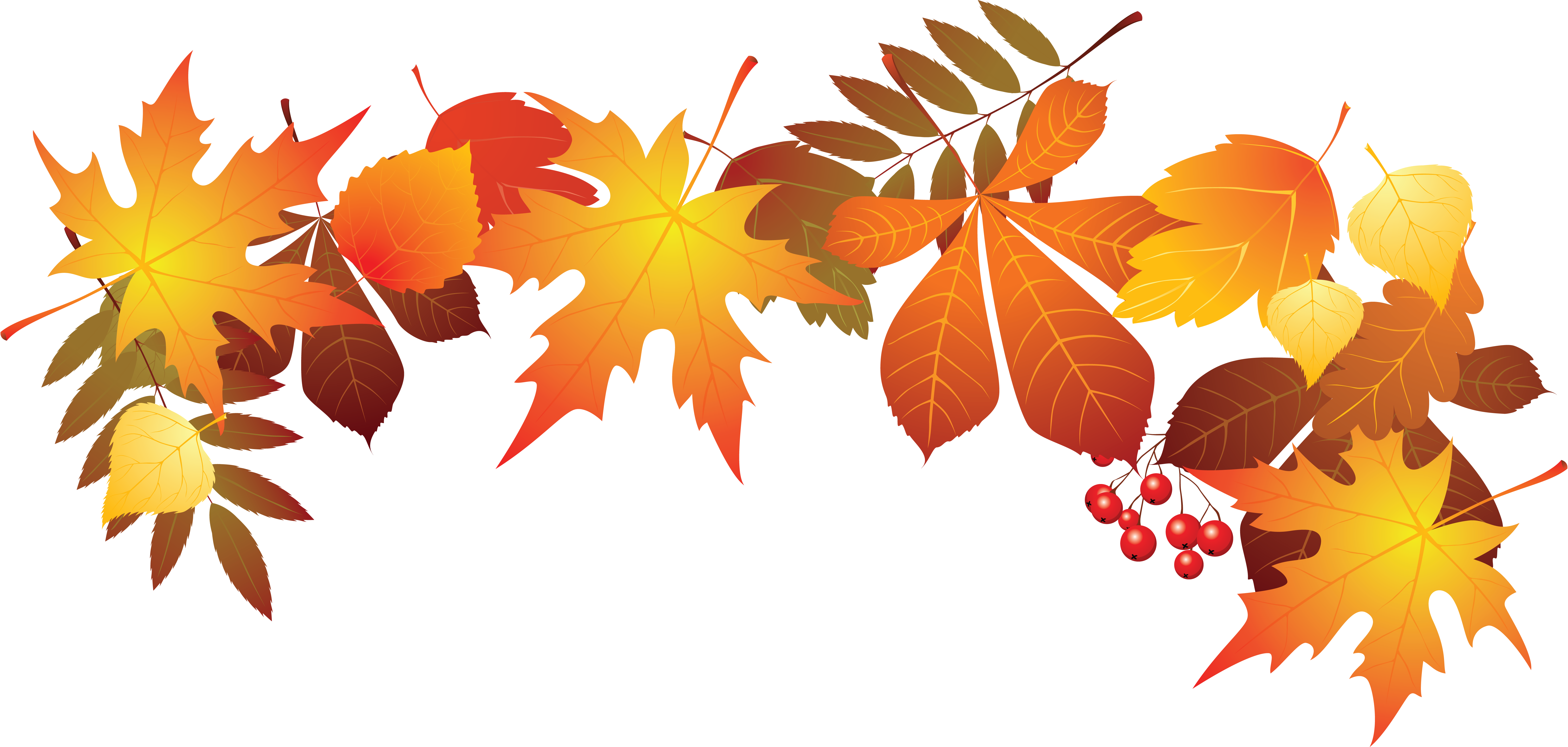 World Teachers Day Leaf Autumn - Fall Leaves Transparent Background (6513x3102)