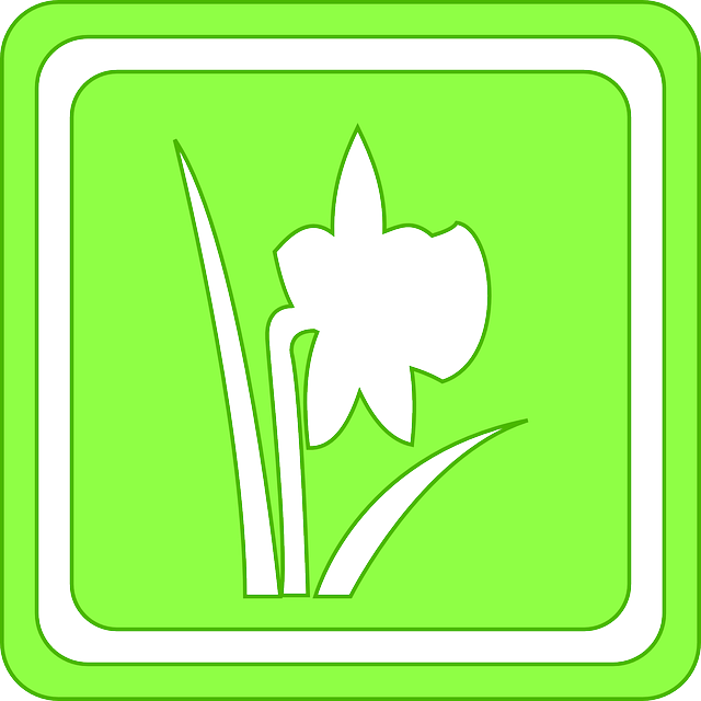 Season Sign, Outline, Symbol, Spring, Nature, Seasons, - Clip Art (640x640)