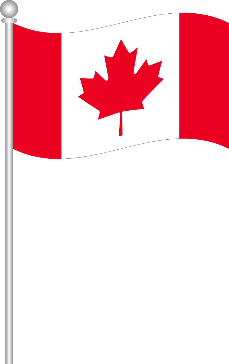 Flag Of Canada World Flags Png Image - Canada Flag (804x1280)