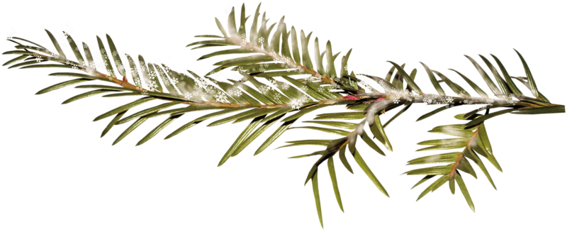 Rama De Vacaciones 2017 Clip Art - Clip Art (800x327)