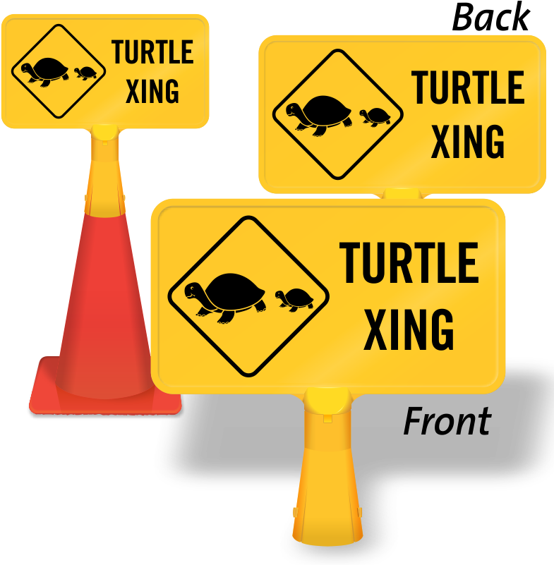 Zoom, Price, Buy - Turtle (800x800)