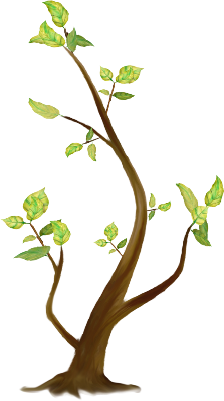 Tree Branch Coarse Woody Debris Clip Art - 1x Keychain Feather Tassel Pendant Dream Catcher Key (446x800)