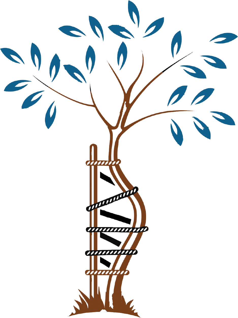 Orthopedic Surgery Surgeon Symbol - Fun Facts About Orthopedic Surgeons (983x1300)