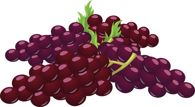 Grapes Bunch Cluster Fruit Purple Red Vine - Bunch Of Grapes Clipart (620x340)