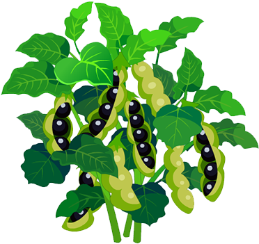 Pea Euclidean Vector Plant - Illustration (510x502)