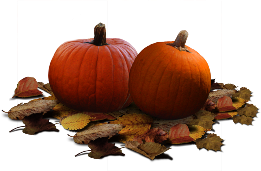 Pumpkin Patch Stock Png By Karahrobinson-art - Clip Art (1092x731)